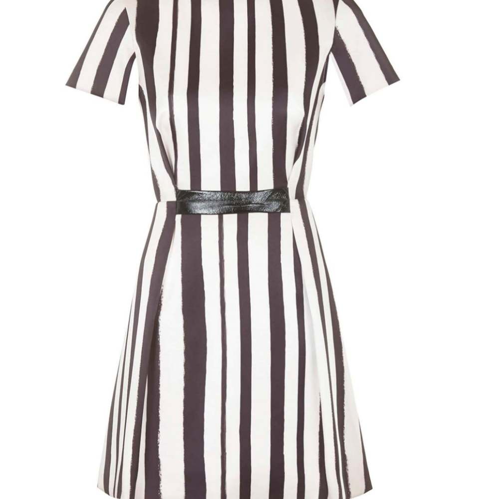 Topshop Shoto A Line Dress - Picture 2 of 5